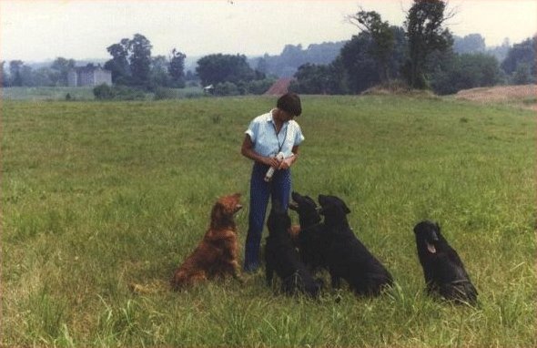 Jane in the Field